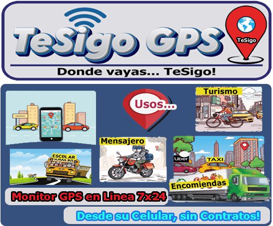 Seguimiento GPS en tiempo real con sistema TeSigo GPS